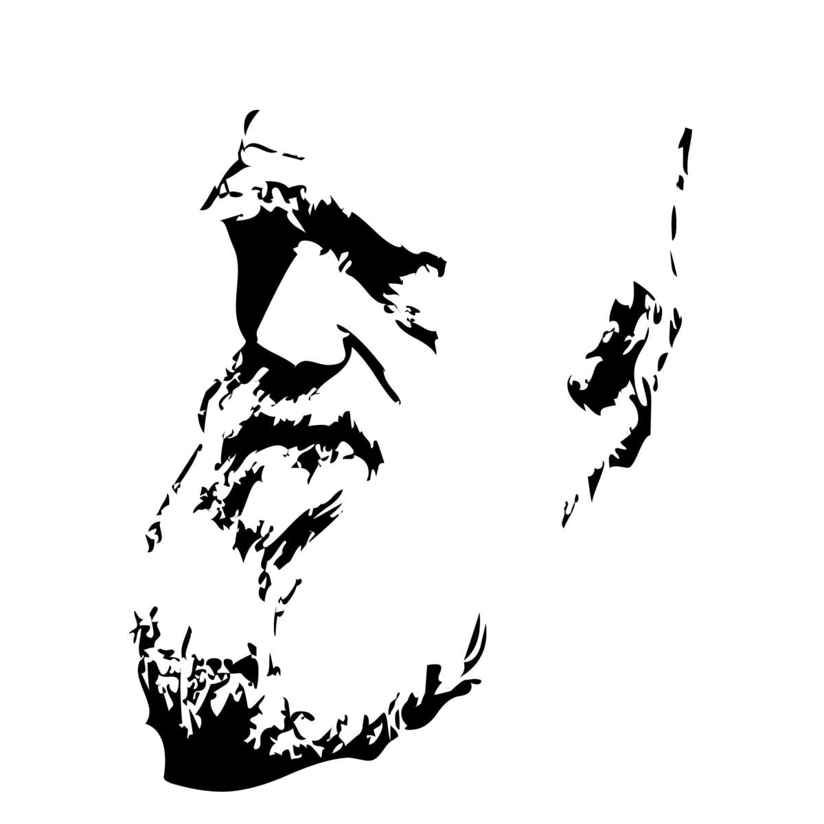 Grafische Abbildung von Charles Darwin